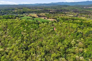 Lot 1 Obannons Mill Rd, Boston, VA 22713 - Photo 43