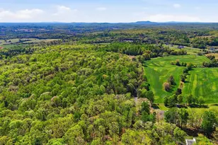 Lot 2 Obannons Mill Rd, Boston, VA 22713 - Photo 45