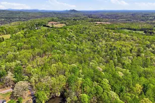 Lot 2 Obannons Mill Rd, Boston, VA 22713 - Photo 41
