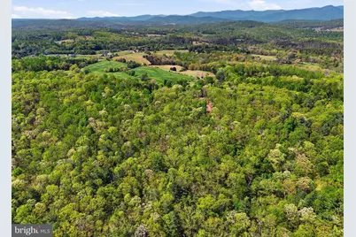 Lot 2 Obannons Mill Road, Boston, VA 22713 - Photo 43