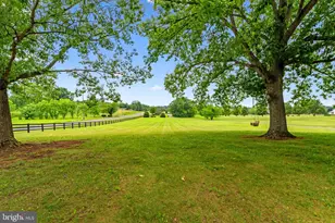 19507 Clair Manor Dr, Culpeper, VA 22701 - Photo 9
