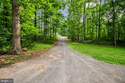10309 Dutch Hollow Road, Rixeyville, VA 22737 - Photo 3
