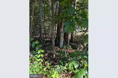 Kirtley Trl, Culpeper, VA 22701 - Photo 3