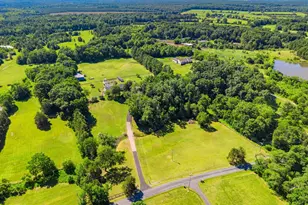 21147 Cedar Grove Rd, Culpeper, VA 22701 - Photo 7