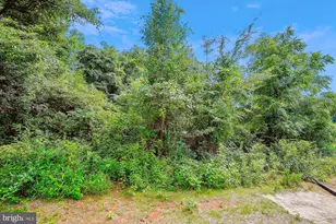 Lot 8 Ryland Chapel Rd, Rixeyville, VA 22737 - Photo 59
