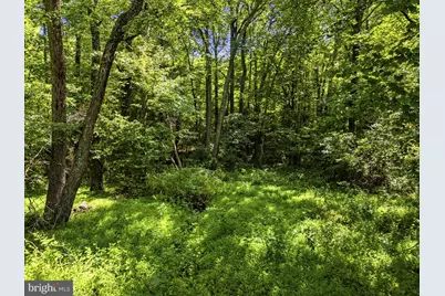 Country Creek Lane, Amissville, VA 20106 - Photo 21