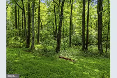Country Creek Lane, Amissville, VA 20106 - Photo 15