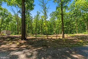 10275 Mountain Run Lake Rd, Culpeper, VA 22701 - Photo 85