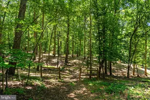10275 Mountain Run Lake Rd, Culpeper, VA 22701 - Photo 81