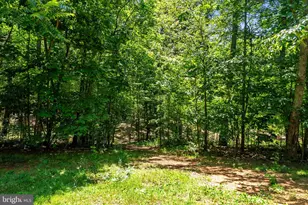 10275 Mountain Run Lake Rd, Culpeper, VA 22701 - Photo 79