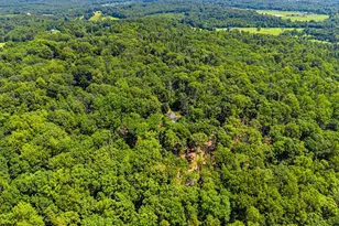 10275 Mountain Run Lake Rd, Culpeper, VA 22701 - Photo 87
