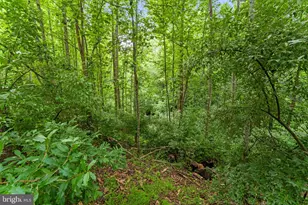 15160 Quail Ridge Dr, Amissville, VA 20106 - Photo 75