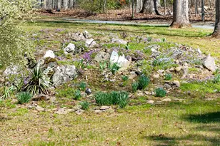 12415 Scotts Mill Rd, Culpeper, VA 22701 - Photo 71