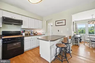16139 Sheads Mountain Rd, Rixeyville, VA 22737 - Photo 17