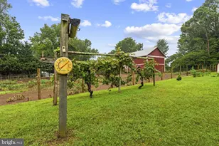 19100 Colonial Dr, Culpeper, VA 22701 - Photo 47
