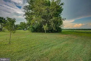 24177 Rapidan Rd, Mitchells, VA 22729 - Photo 37