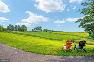 15638 White Tail Ln, Culpeper, VA 22701 - Photo 51