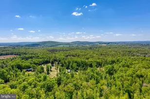 8427 Tall Oak Dr, Culpeper, VA 22701 - Photo 51