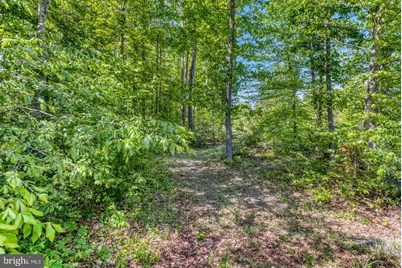 8427 Tall Oak Drive, Culpeper, VA 22701 - Photo 47