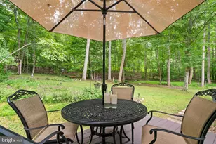 19220 Springfield Cir, Jeffersonton, VA 22724 - Photo 41