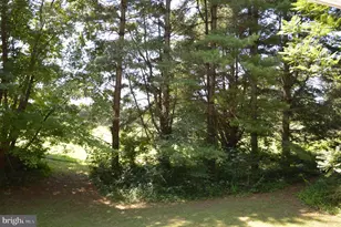 12368 Rixeyville Rd, Culpeper, VA 22701 - Photo 33
