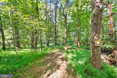 3145 Holly Springs Road, Amissville, VA 20106 - Photo 65