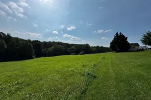 22425 Wicked Btm Ln, Lignum, VA 22726 - Photo 5