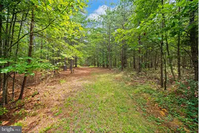 11096 Tolivers Forest, Rixeyville, VA 22737 - Photo 65