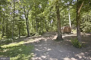 11064 Stream Side Ln, Culpeper, VA 22701 - Photo 49