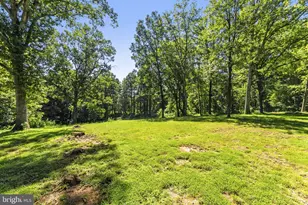 6019 Rixeyville Rd, Rixeyville, VA 22737 - Photo 49