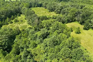 5491 Johnson Ln, Reva, VA 22735 - Photo 23