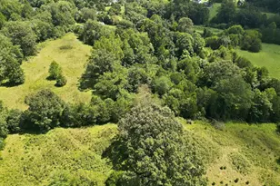 5491 Johnson Ln, Reva, VA 22735 - Photo 33