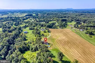13953 Eggbornsville Rd, Culpeper, VA 22701 - Photo 41