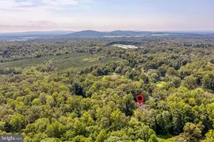 8497 Kilby Woods Dr, Culpeper, VA 22701 - Photo 17