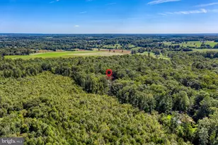 12513 Calvert St, Culpeper, VA 22701 - Photo 67