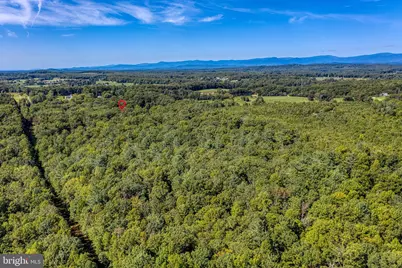 12513 Calvert Street, Culpeper, VA 22701 - Photo 69