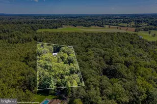 12513 Calvert St, Culpeper, VA 22701 - Photo 65