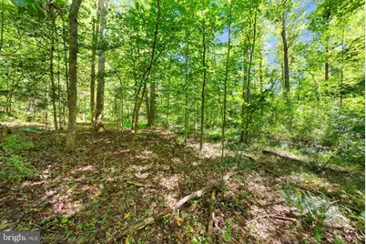 16134 Quail Ridge Drive, Amissville, VA 20106 - Photo 63