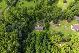 11135 Scotts Mill Rd, Culpeper, VA 22701 - Photo 51