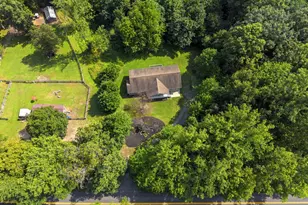 11135 Scotts Mill Rd, Culpeper, VA 22701 - Photo 53