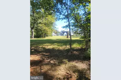 8697 Monumental Mills Road, Rixeyville, VA 22737 - Photo 9
