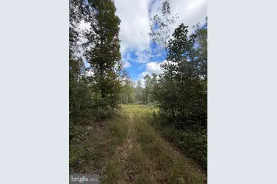 0 Rocks Edge Road, Reva, VA 22735 - Photo 13