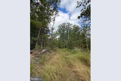 0 Rocks Edge Road, Reva, VA 22735 - Photo 17