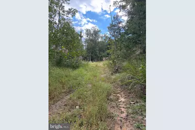 0 Rocks Edge Road, Reva, VA 22735 - Photo 3