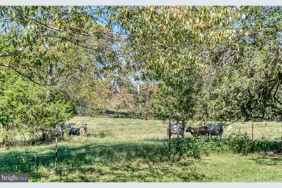 11165 Drogheda Mountain Road, Rixeyville, VA 22737 - Photo 35
