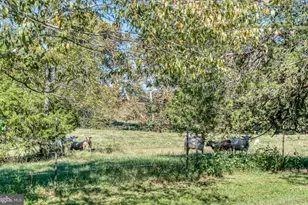 11165 Drogheda Mountain Rd, Rixeyville, VA 22737 - Photo 35