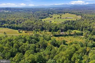 15315 Turkey Track, Culpeper, VA 22701 - Photo 41