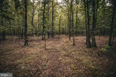 Tbd Stringfellow Road, Culpeper, VA 22701 - Photo 11