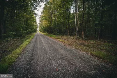 Tbd Stringfellow Road, Culpeper, VA 22701 - Photo 21