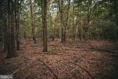 Tbd Stringfellow Road, Culpeper, VA 22701 - Photo 17